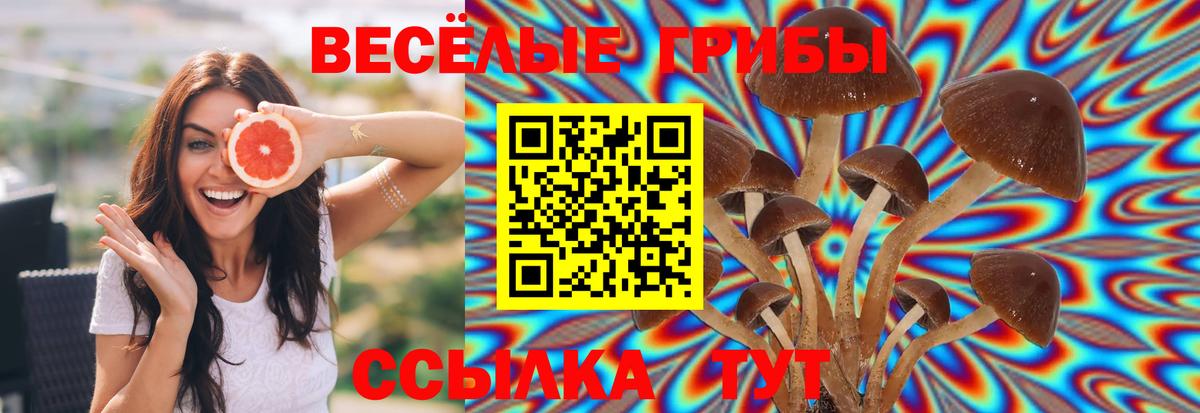 Псилоцибиновые грибы прущие грибы Армавир